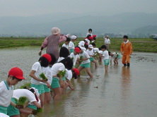 �C�������[���I