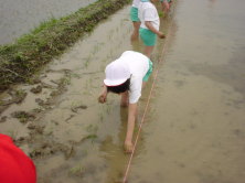 �܂������A���܂��B