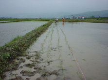 �ǂ��ł����H