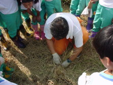 �������񂾂�B