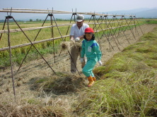 ����Ɉ�������܂��B